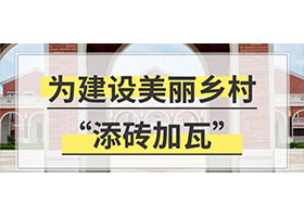 給你一個億！為村民建設(shè)一條美麗鄉(xiāng)村，你將如何設(shè)計？